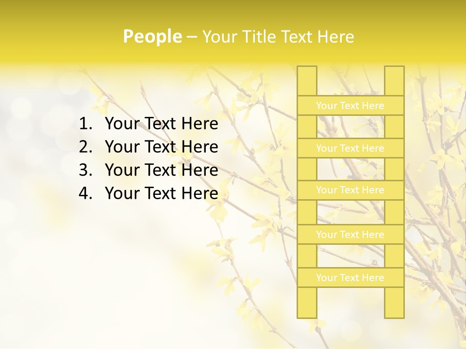 A Branch With Yellow Flowers On A Sunny Day PowerPoint Template