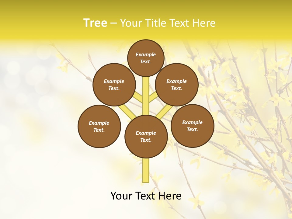 A Branch With Yellow Flowers On A Sunny Day PowerPoint Template