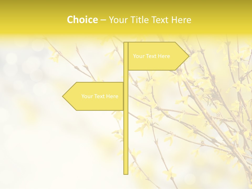 A Branch With Yellow Flowers On A Sunny Day PowerPoint Template