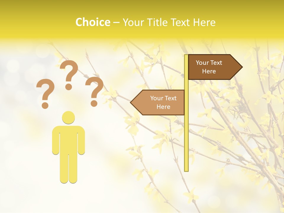 A Branch With Yellow Flowers On A Sunny Day PowerPoint Template