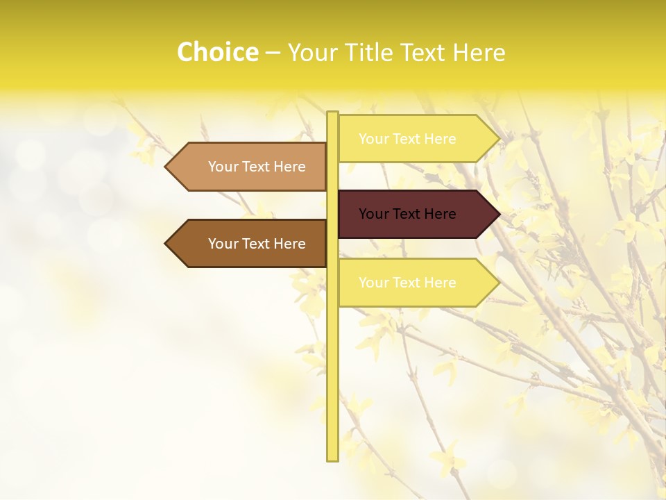 A Branch With Yellow Flowers On A Sunny Day PowerPoint Template