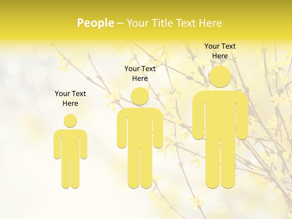 A Branch With Yellow Flowers On A Sunny Day PowerPoint Template