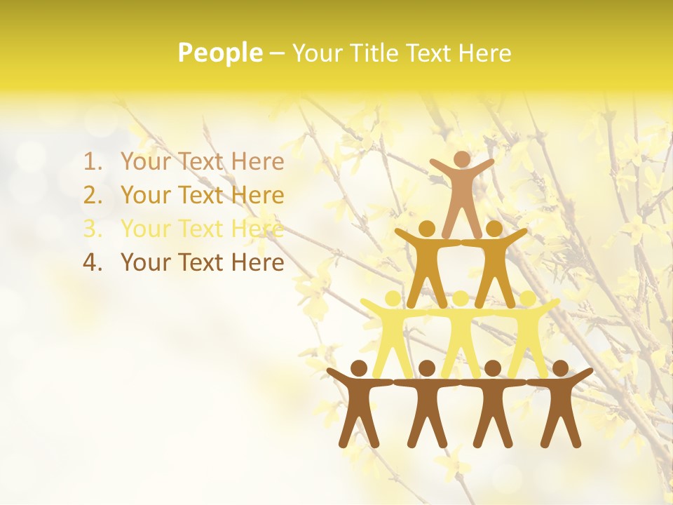 A Branch With Yellow Flowers On A Sunny Day PowerPoint Template