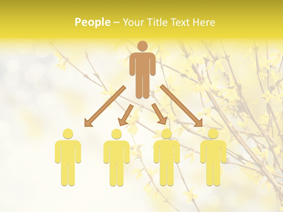 A Branch With Yellow Flowers On A Sunny Day PowerPoint Template