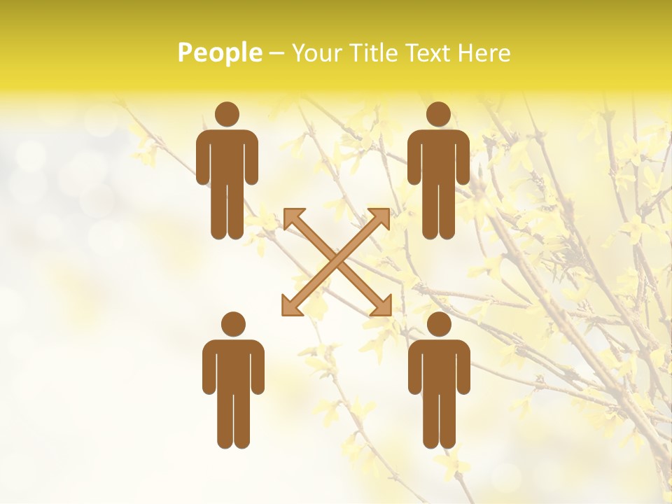 A Branch With Yellow Flowers On A Sunny Day PowerPoint Template