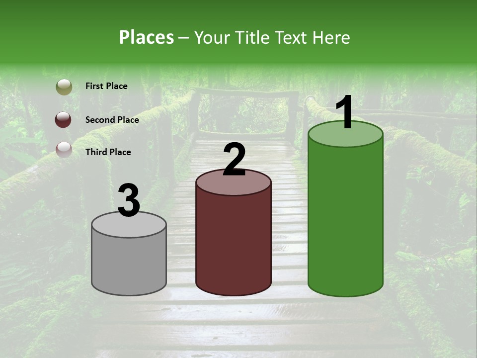 A Wooden Bridge In The Middle Of A Forest With Moss Growing On It PowerPoint Template