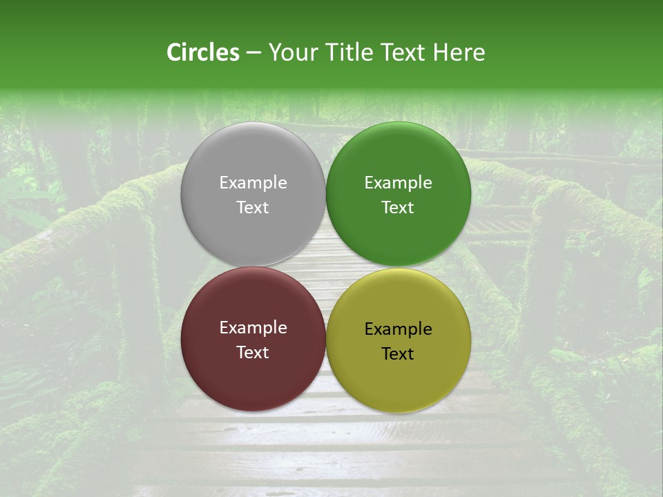 A Wooden Bridge In The Middle Of A Forest With Moss Growing On It PowerPoint Template