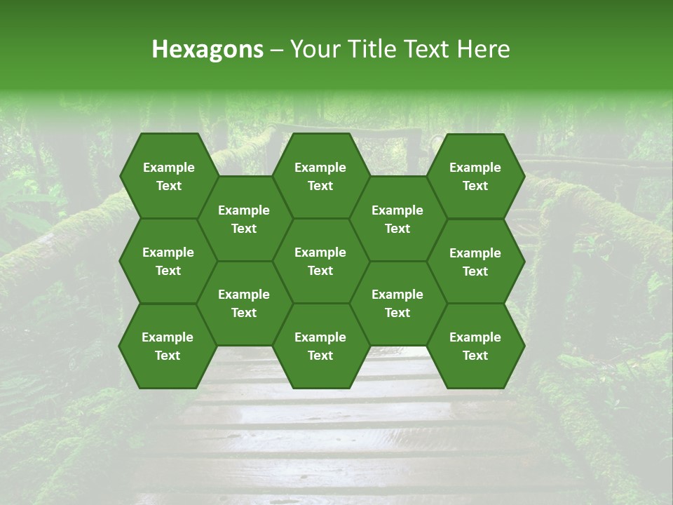 A Wooden Bridge In The Middle Of A Forest With Moss Growing On It PowerPoint Template