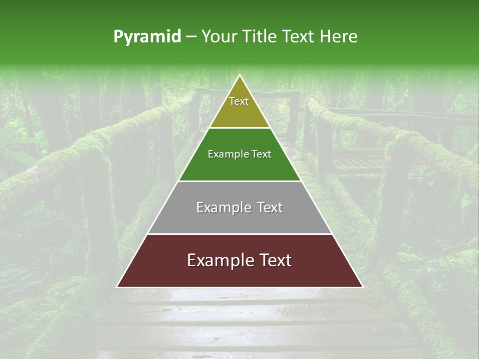 A Wooden Bridge In The Middle Of A Forest With Moss Growing On It PowerPoint Template