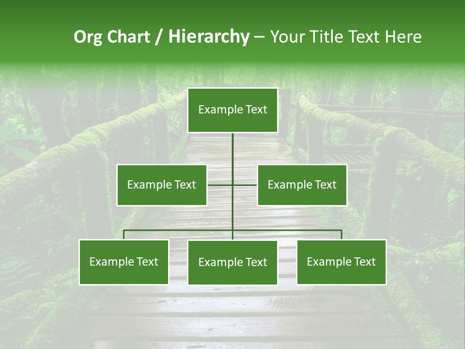 A Wooden Bridge In The Middle Of A Forest With Moss Growing On It PowerPoint Template