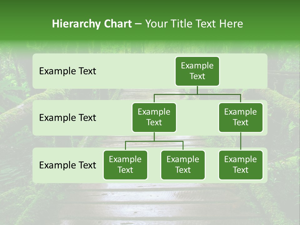 A Wooden Bridge In The Middle Of A Forest With Moss Growing On It PowerPoint Template