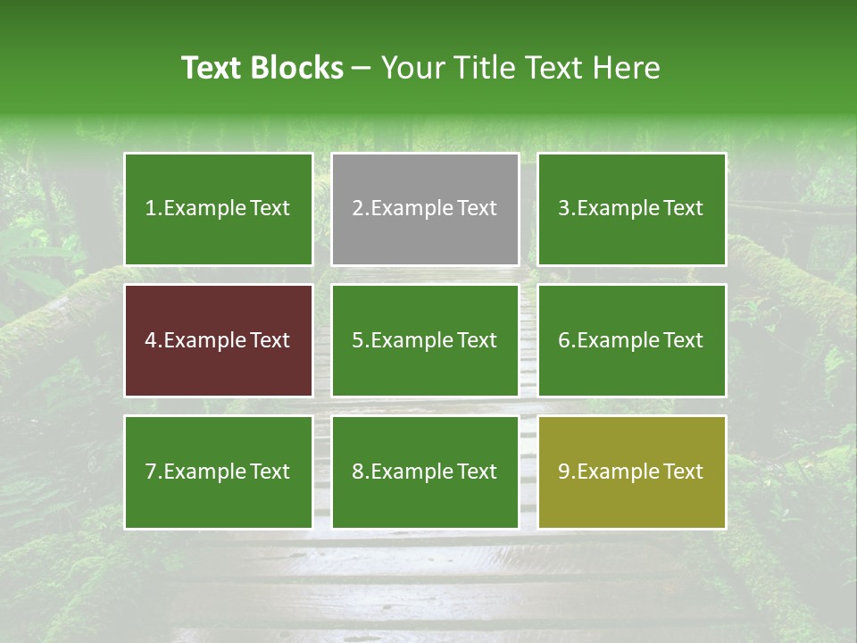 A Wooden Bridge In The Middle Of A Forest With Moss Growing On It PowerPoint Template