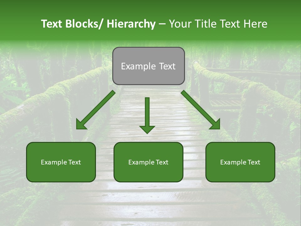 A Wooden Bridge In The Middle Of A Forest With Moss Growing On It PowerPoint Template