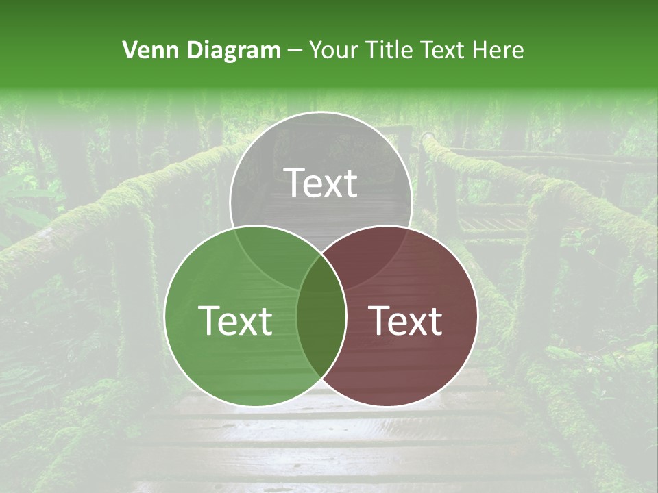 A Wooden Bridge In The Middle Of A Forest With Moss Growing On It PowerPoint Template