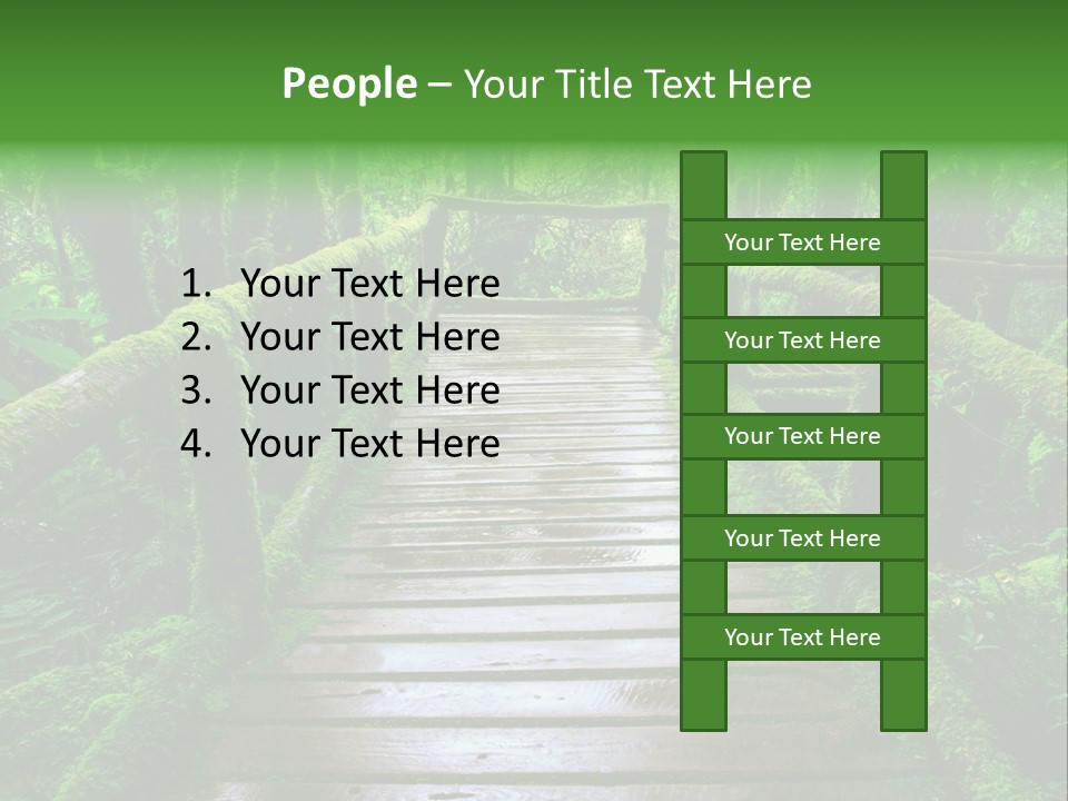 A Wooden Bridge In The Middle Of A Forest With Moss Growing On It PowerPoint Template