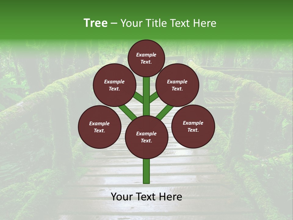 A Wooden Bridge In The Middle Of A Forest With Moss Growing On It PowerPoint Template