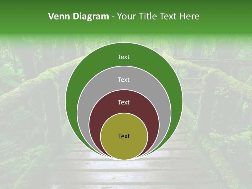 A Wooden Bridge In The Middle Of A Forest With Moss Growing On It PowerPoint Template