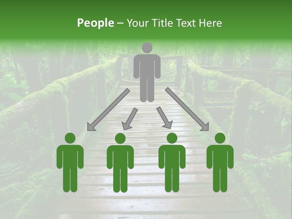 A Wooden Bridge In The Middle Of A Forest With Moss Growing On It PowerPoint Template