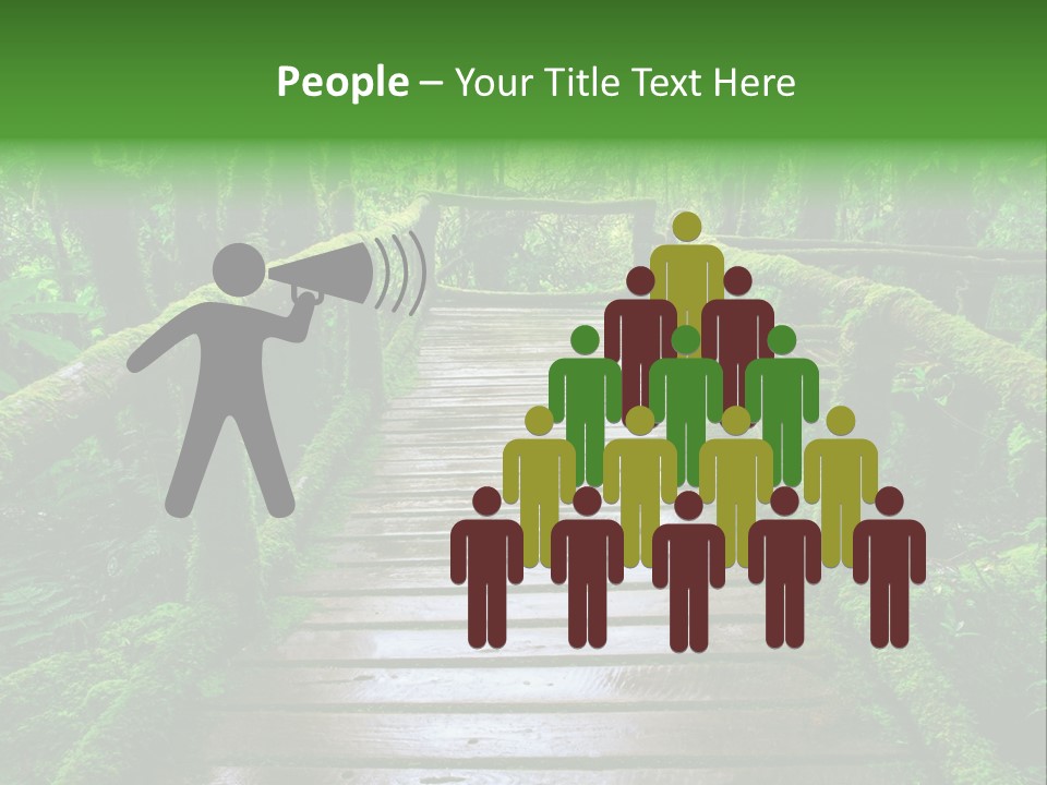 A Wooden Bridge In The Middle Of A Forest With Moss Growing On It PowerPoint Template