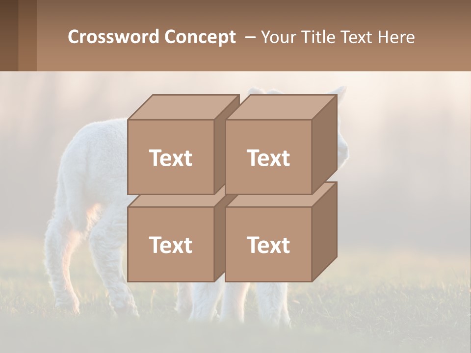 Two Lambs Are Standing In A Field Of Grass PowerPoint Template