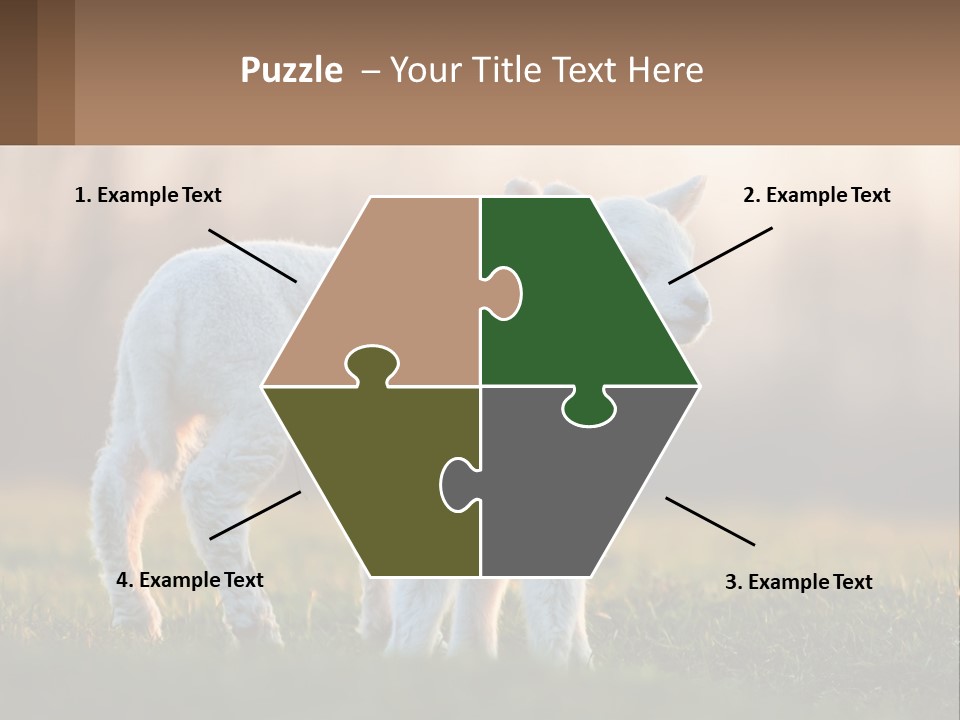 Two Lambs Are Standing In A Field Of Grass PowerPoint Template