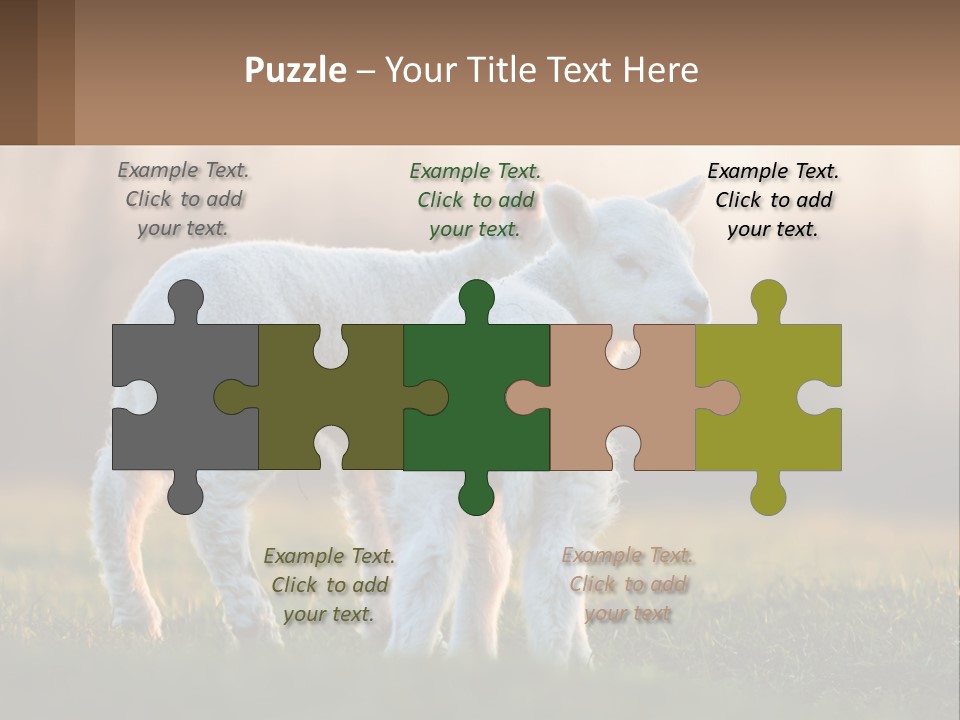 Two Lambs Are Standing In A Field Of Grass PowerPoint Template