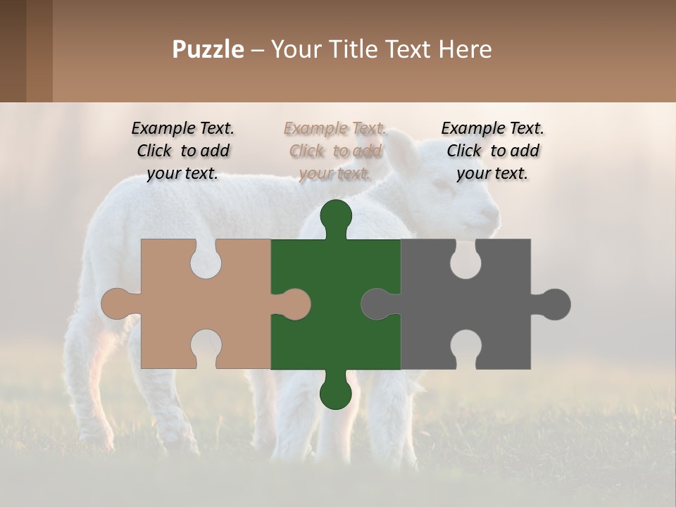 Two Lambs Are Standing In A Field Of Grass PowerPoint Template