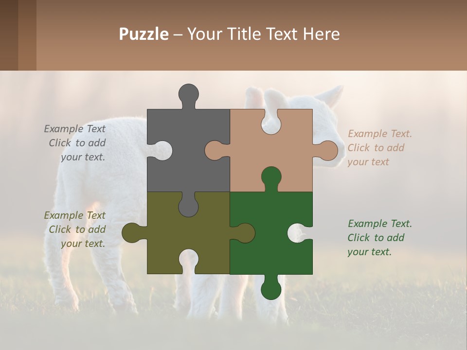 Two Lambs Are Standing In A Field Of Grass PowerPoint Template