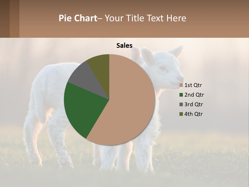 Two Lambs Are Standing In A Field Of Grass PowerPoint Template