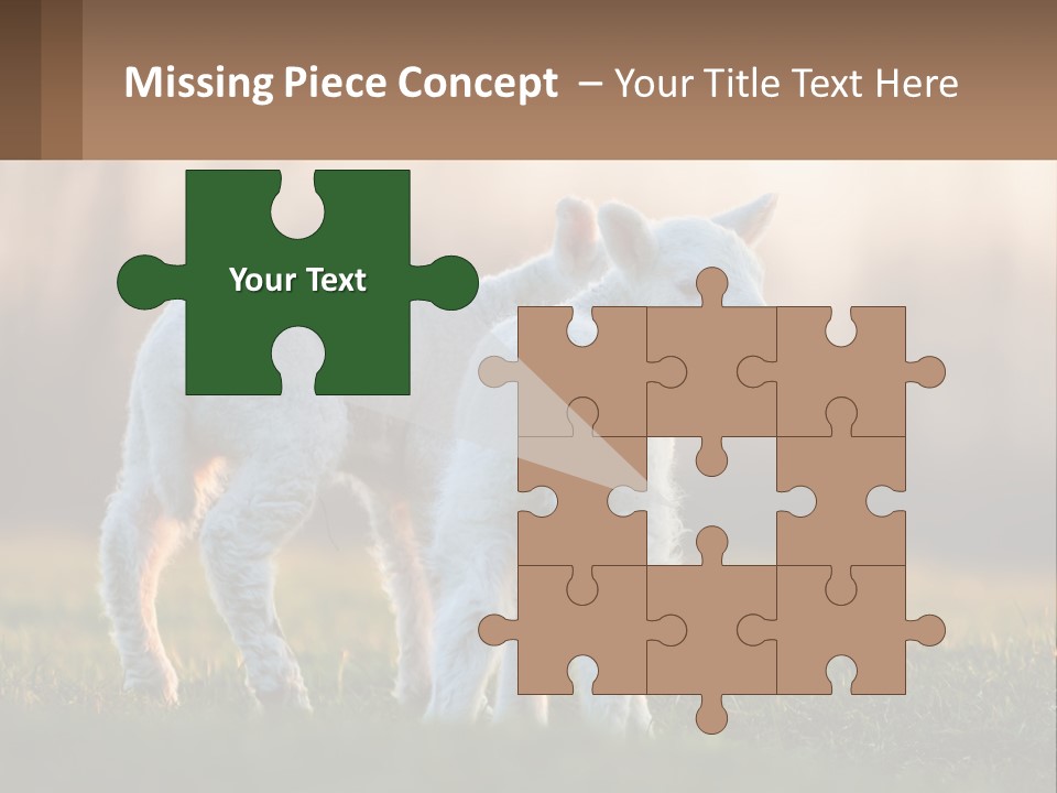 Two Lambs Are Standing In A Field Of Grass PowerPoint Template