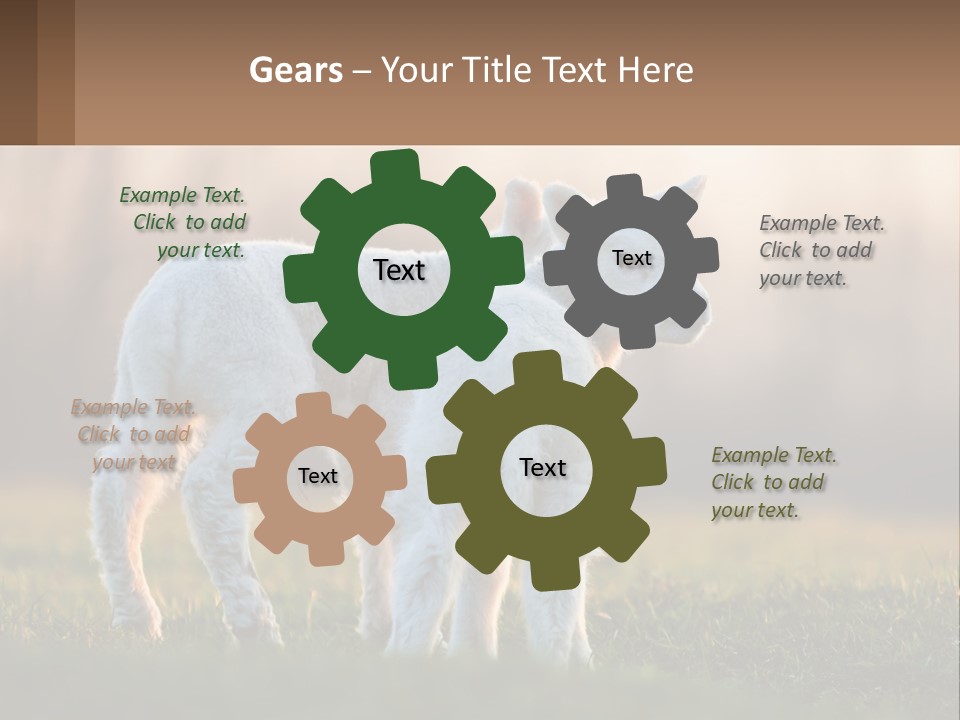 Two Lambs Are Standing In A Field Of Grass PowerPoint Template