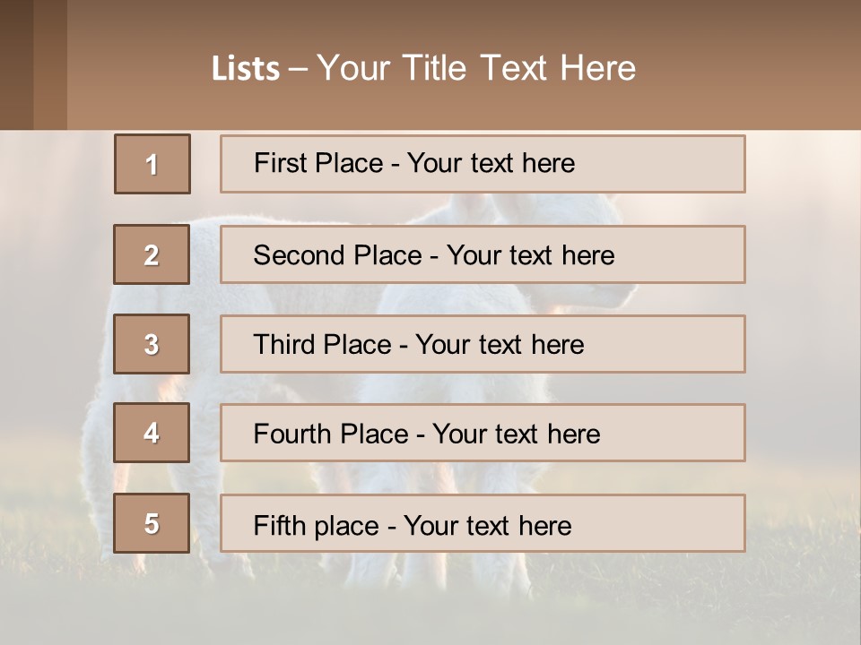 Two Lambs Are Standing In A Field Of Grass PowerPoint Template
