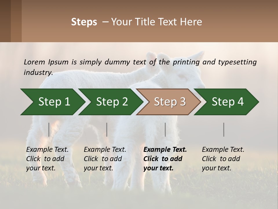 Two Lambs Are Standing In A Field Of Grass PowerPoint Template