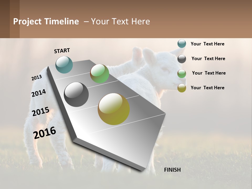 Two Lambs Are Standing In A Field Of Grass PowerPoint Template