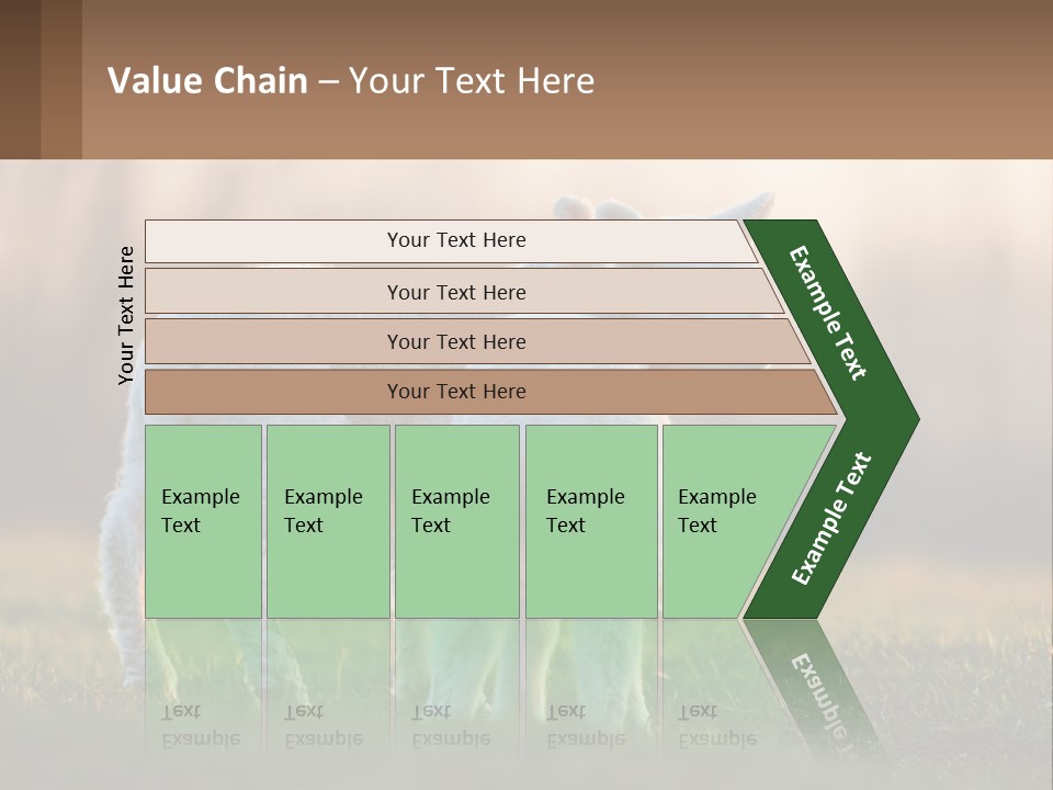 Two Lambs Are Standing In A Field Of Grass PowerPoint Template