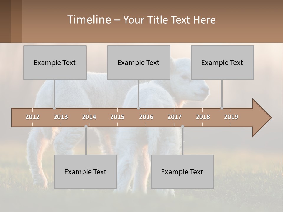 Two Lambs Are Standing In A Field Of Grass PowerPoint Template