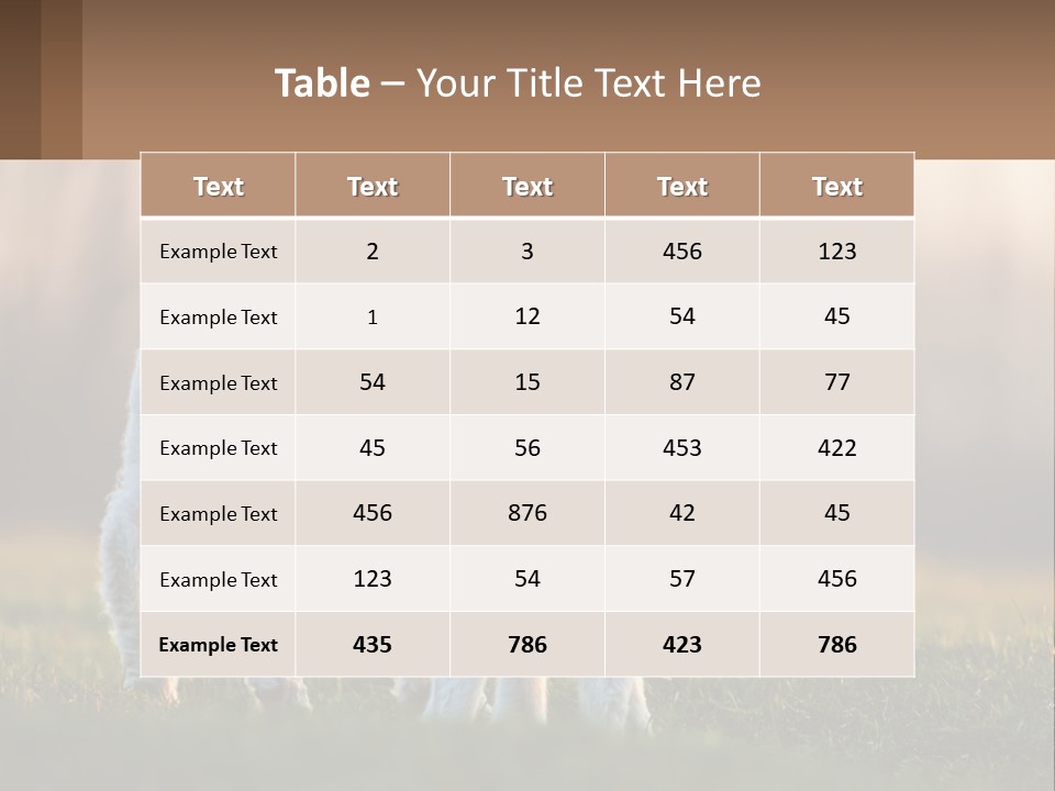 Two Lambs Are Standing In A Field Of Grass PowerPoint Template
