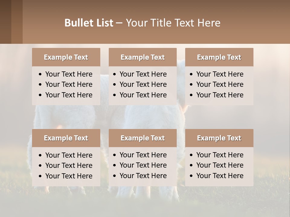 Two Lambs Are Standing In A Field Of Grass PowerPoint Template