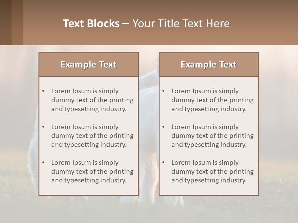 Two Lambs Are Standing In A Field Of Grass PowerPoint Template