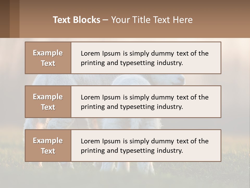 Two Lambs Are Standing In A Field Of Grass PowerPoint Template