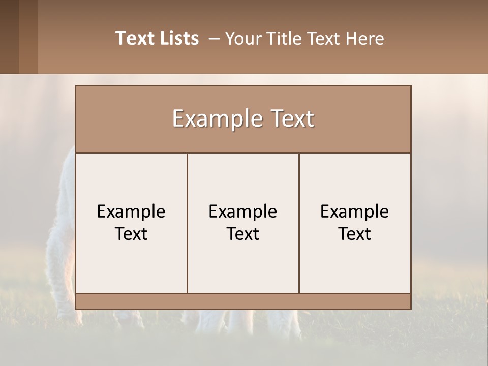 Two Lambs Are Standing In A Field Of Grass PowerPoint Template