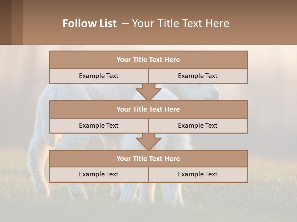 Two Lambs Are Standing In A Field Of Grass PowerPoint Template