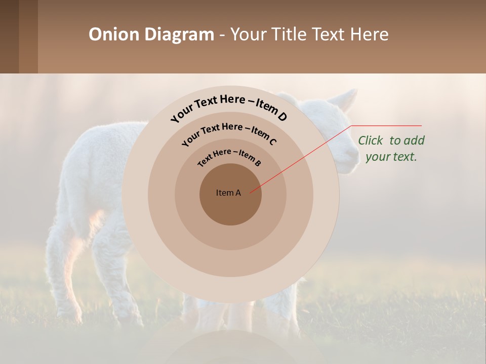 Two Lambs Are Standing In A Field Of Grass PowerPoint Template