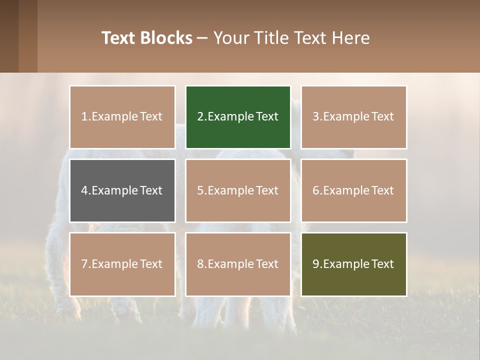 Two Lambs Are Standing In A Field Of Grass PowerPoint Template