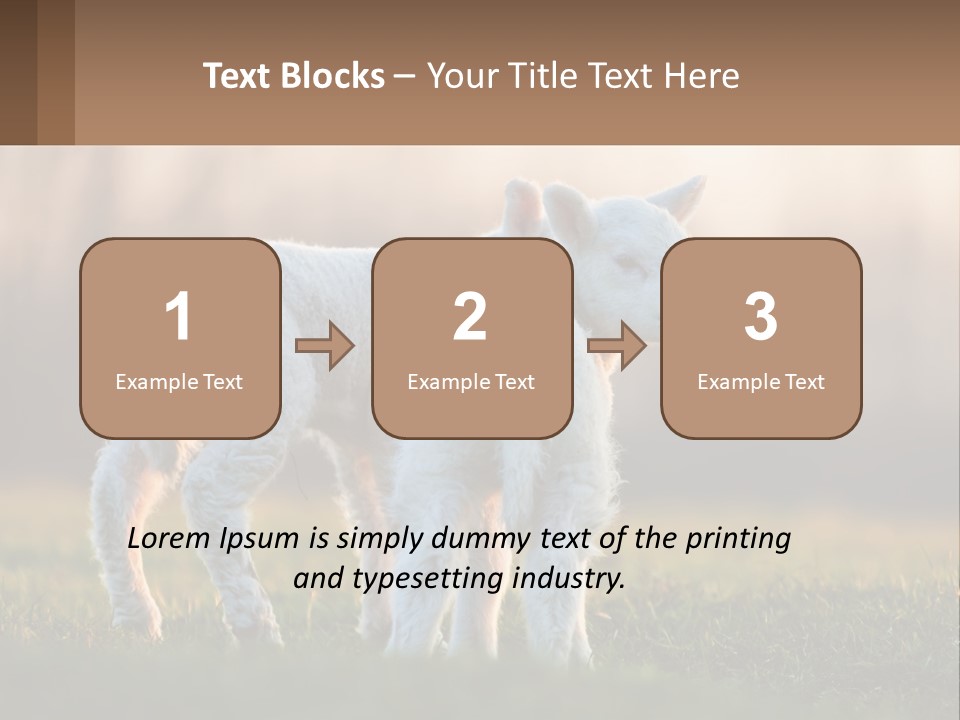 Two Lambs Are Standing In A Field Of Grass PowerPoint Template