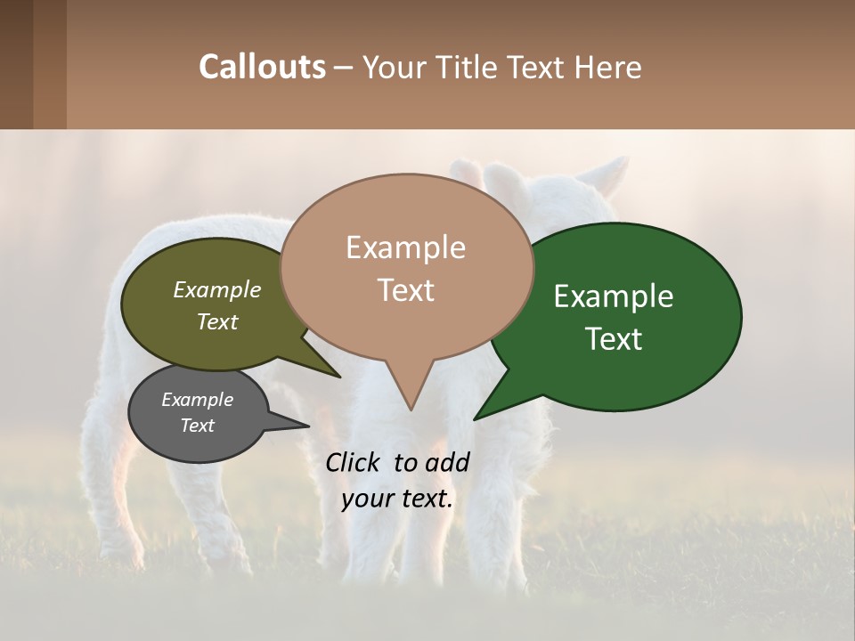 Two Lambs Are Standing In A Field Of Grass PowerPoint Template
