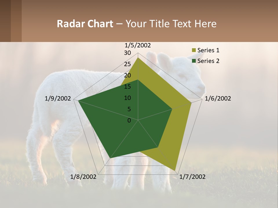 Two Lambs Are Standing In A Field Of Grass PowerPoint Template