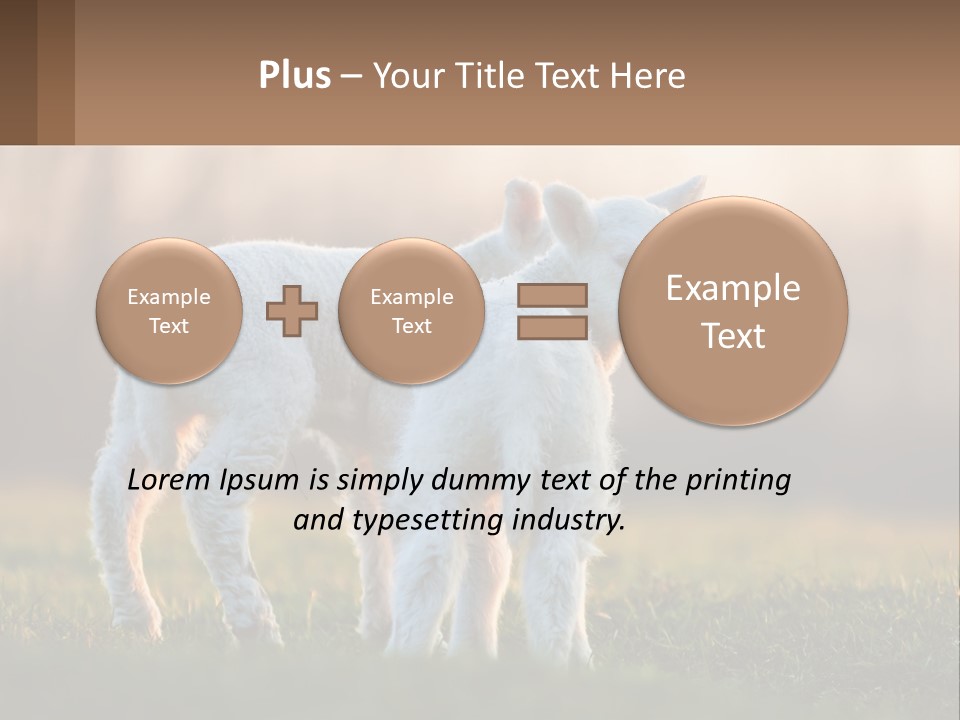 Two Lambs Are Standing In A Field Of Grass PowerPoint Template