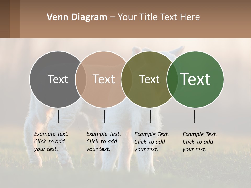 Two Lambs Are Standing In A Field Of Grass PowerPoint Template