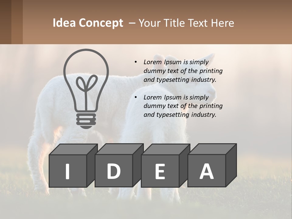 Two Lambs Are Standing In A Field Of Grass PowerPoint Template